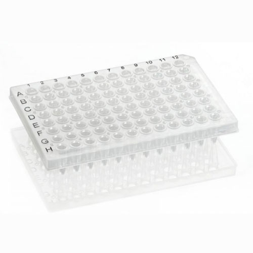PCR Reaction Plates